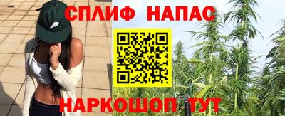 PSILOCYBIN Кулебаки