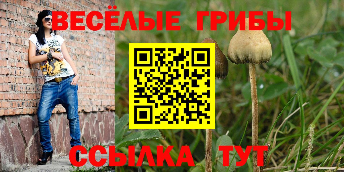 Псилоцибиновые грибы Magic Shrooms Зима
